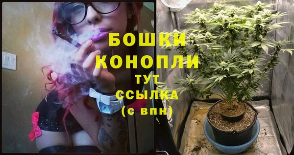 ALPHA PVP Горняк